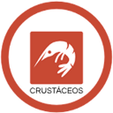 crustaceo
